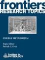 Book cover: Energy Metabolism