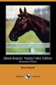 Book cover: Black Beauty