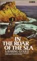 Book cover: In the Roar of the Sea