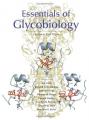 Book cover: Essentials of Glycobiology