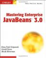 Book cover: Mastering Enterprise JavaBeans 3.0