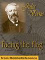 Book cover: Facing the Flag
