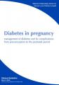 Book cover: Diabetes in Pregnancy