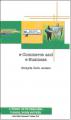 Book cover: E-Commerce and E-Business