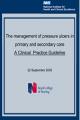 Small book cover: The Management of Pressure Ulcers in Primary and Secondary Care