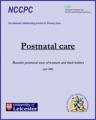 Small book cover: Postnatal Care: Routine Postnatal Care of Women and Their Babies