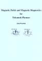 Small book cover: Magnetic Fields and Magnetic Diagnostics for Tokamak Plasmas