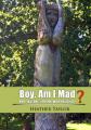 Book cover: Boy. Am I Mad?
