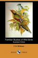 Book cover: Familiar Studies of Wild Birds