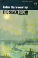 Book cover: The Silver Spoon