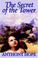 Book cover: The Secret of the Tower