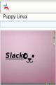 Small book cover: Puppy Linux