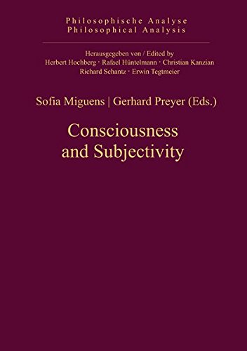 Large book cover: Consciousness and Subjectivity