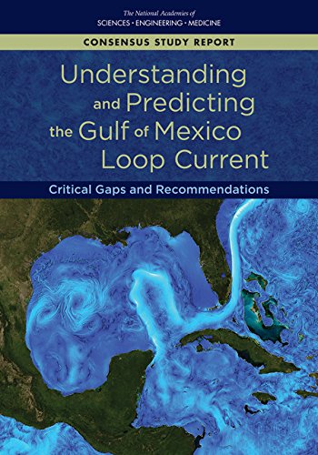Large book cover: Understanding and Predicting the Gulf of Mexico Loop Current