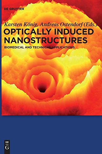 Large book cover: Optically Induced Nanostructures