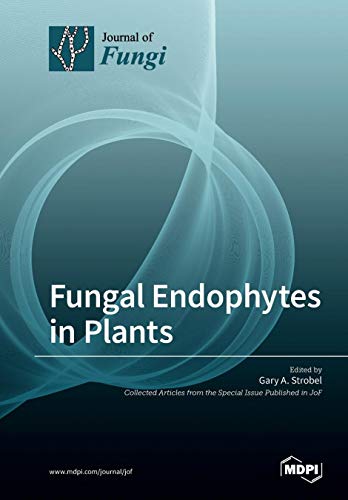 Large book cover: Fungal Endophytes in Plants