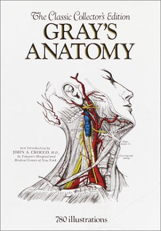 Large book cover: Anatomy of the Human Body (20th Edition)