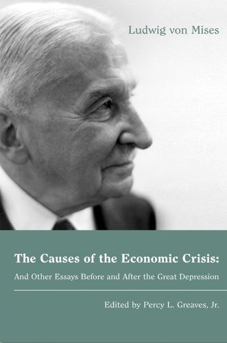 Large book cover: The Causes of the Economic Crisis