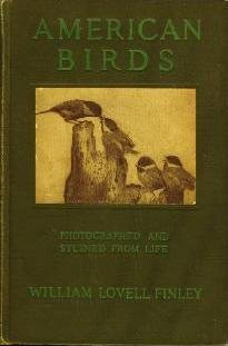 Large book cover: American Birds