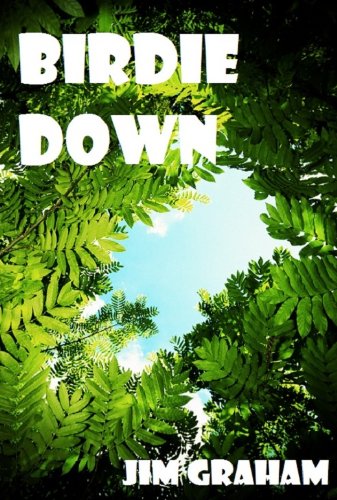 Large book cover: Birdie Down