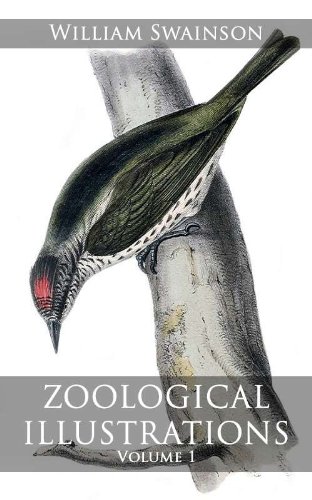 Large book cover: Zoological Illustrations