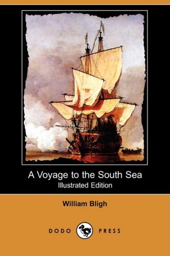 Large book cover: A Voyage to the South Sea