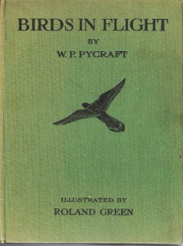 Large book cover: Birds in Flight