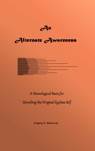 Large book cover: An Alternate Awareness