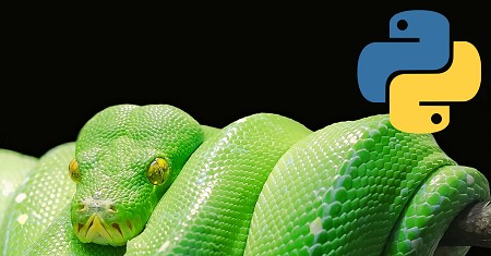 Illustration of Python Programming Language