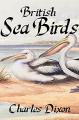 Book cover: British Sea Birds