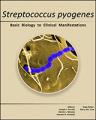 Small book cover: Streptococcus pyogenes: Basic Biology to Clinical Manifestations