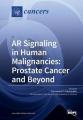 Book cover: AR Signaling in Human Malignancies: Prostate Cancer and Beyond