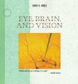 Book cover: Eye, Brain, and Vision
