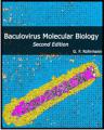 Book cover: Baculovirus Molecular Biology