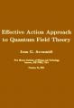 Book cover: Effective Action Approach to Quantum Field Theory