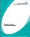 Small book cover: Prostate Cancer: Diagnosis and Treatment