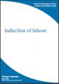 Book cover: Induction of Labour: Clinical Guideline