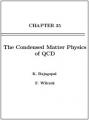 Book cover: The Condensed Matter Physics of QCD