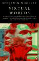 Book cover: Virtual Worlds: A Journey in Hype and Hyperreality