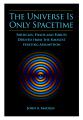 Small book cover: The Universe is Only Spacetime