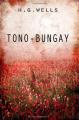 Book cover: Tono Bungay