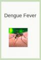 Book cover: Dengue Fever