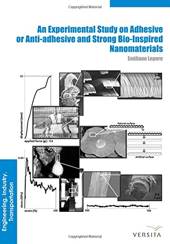 Large book cover: An Experimental Study on Adhesive or Anti-adhesive, Bio-inspired Experimental Nanomaterials