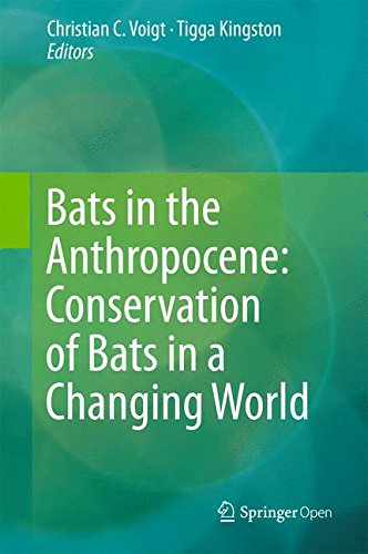 Large book cover: Bats in the Anthropocene: Conservation of Bats in a Changing World