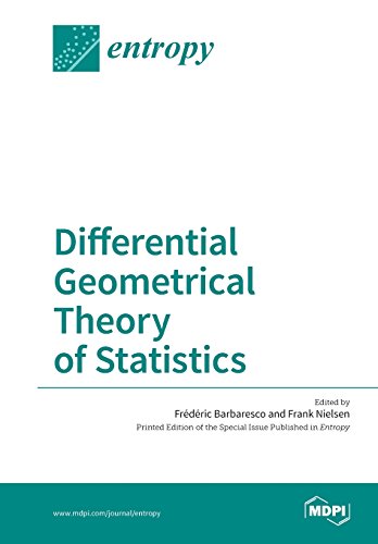 Large book cover: Differential Geometrical Theory of Statistics