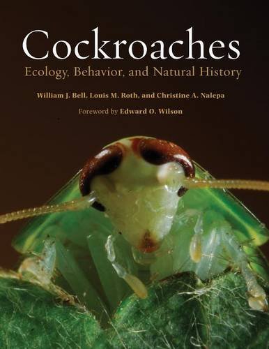 Large book cover: Cockroaches: Ecology, Behavior, and Natural History