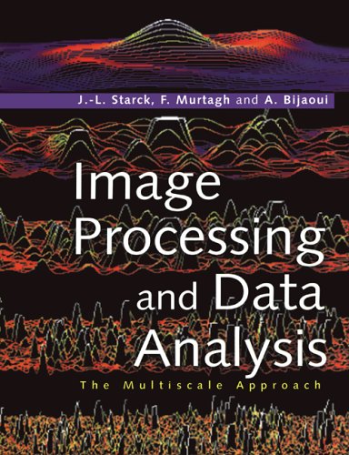 Large book cover: Image Processing and Data Analysis: The Multiscale Approach