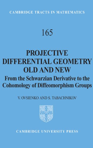 Large book cover: Projective Differential Geometry Old and New
