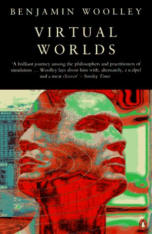 Large book cover: Virtual Worlds: A Journey in Hype and Hyperreality