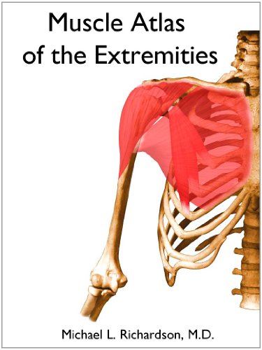 Large book cover: Muscle Atlas of the Extremities